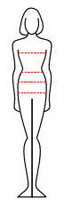 shape body measurements